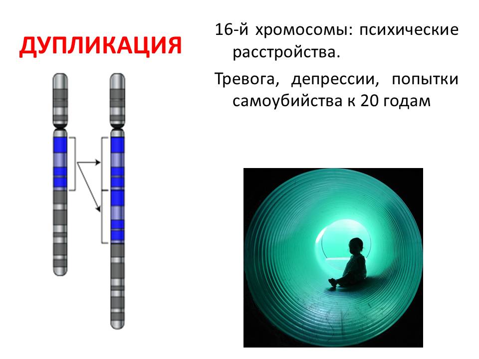 Рождения ребенка с синдромом дауна это пример проявления изменчивости